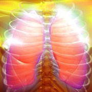 Tuberculosis related image